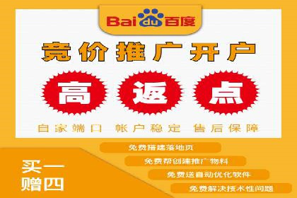 SEM托管成功案例：揭秘高效广告投放策略